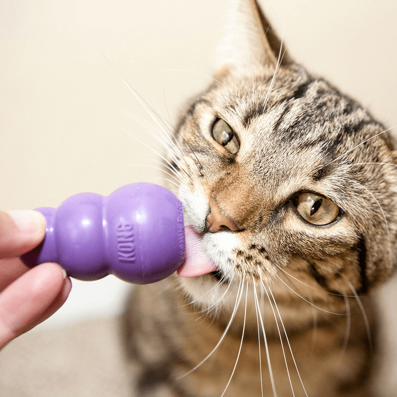 Cat Treat Dispenser - Kitty KONG Toy - J & J Pet Club - Kong