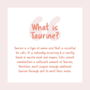 Cat Treat - Purr Purée - Chicken & Salmon - 15 g sachet, pack of 4 - J & J Pet Club - Kit Cat