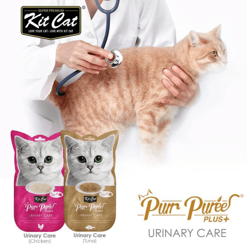 Cat Treat - Purr Purée PLUS+, URINARY CARE - Chicken & Cranberry - 15 g sachet, pack of 4 - J & J Pet Club - Kit Cat