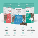 Cat Treat - Soft Chew Nibblets - Salmon & Seaweed Recipe - 2.25 oz - J & J Pet Club - Icelandic+