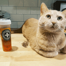 Catnip Blends - Kalico Kush - Valerian Root & Catnip - 0.917 oz - J & J Pet Club - Meowijuana