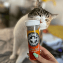 Catnip Blends - Kalico Kush - Valerian Root & Catnip - 0.917 oz - J & J Pet Club - Meowijuana