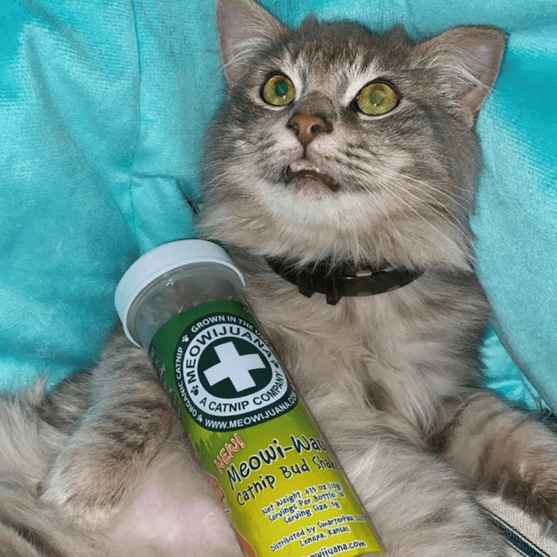 Catnip Blends, Meowi-Waui, Catnip Bud Shake - 0.75 oz - J & J Pet Club - Meowijuana