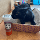 Catnip Blends - Purrple Passion - Silvervine & Catnip - 0.917 oz - J & J Pet Club - Meowijuana