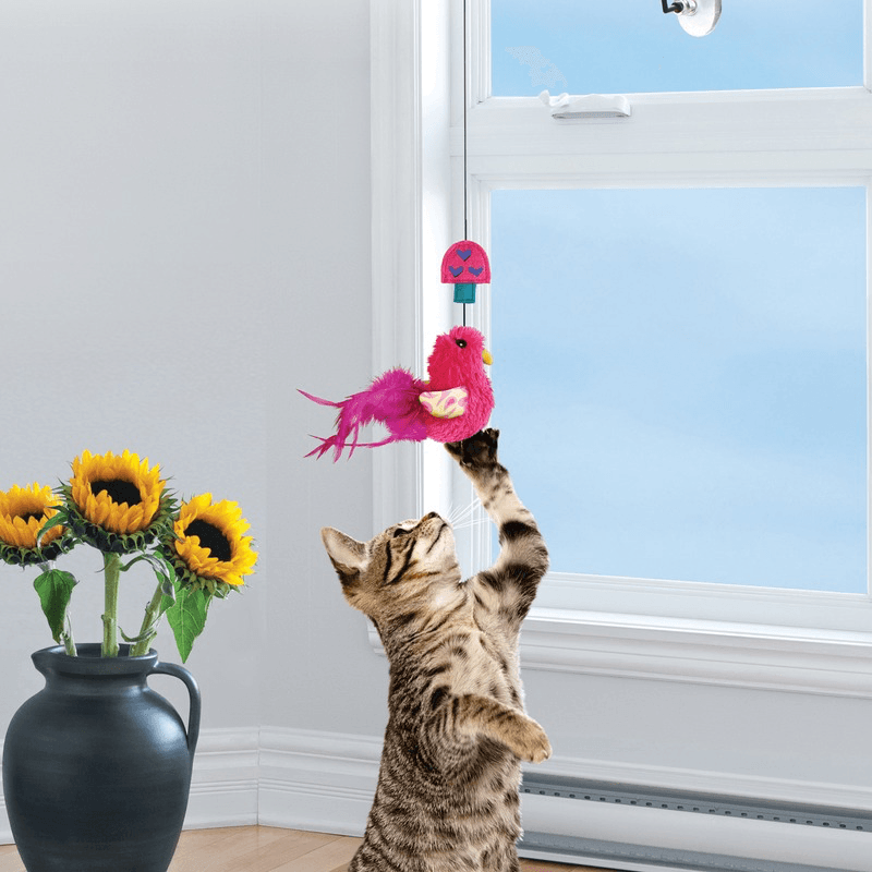 Catnip Cat Toy - Connects - Window Teaser - J & J Pet Club - Kong