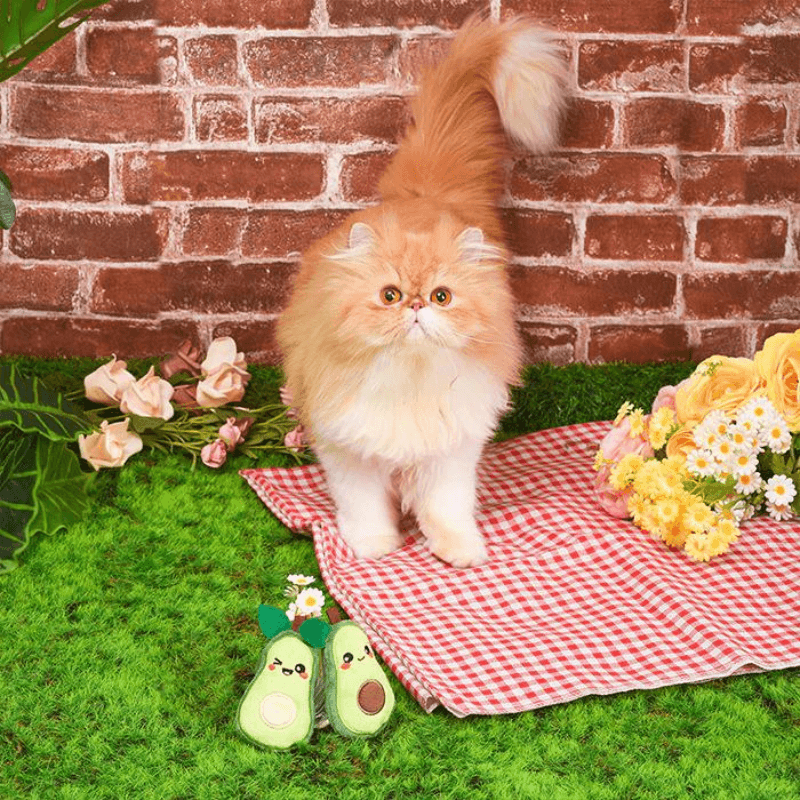 Catnip Cat Toy - Crazy Catcher - Avocado - J & J Pet Club - HugSmart
