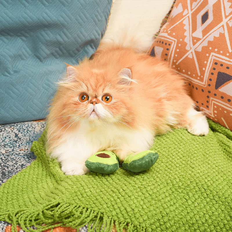 Catnip Cat Toy - Crazy Catcher - Avocado - J & J Pet Club - HugSmart