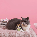 Catnip Cat Toy - Crazy Catcher - Coconut Water - J & J Pet Club - HugSmart