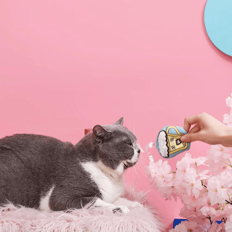 Catnip Cat Toy - Crazy Catcher - Coconut Water - J & J Pet Club - HugSmart