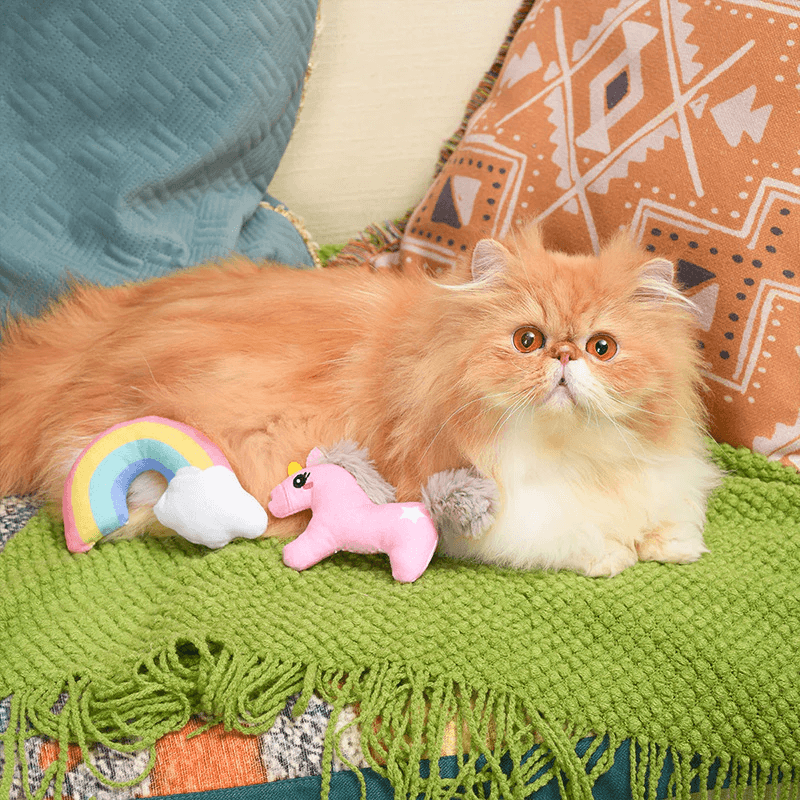 Catnip Cat Toy - Crazy Catcher - Unicorn & Rainbow - J & J Pet Club - HugSmart