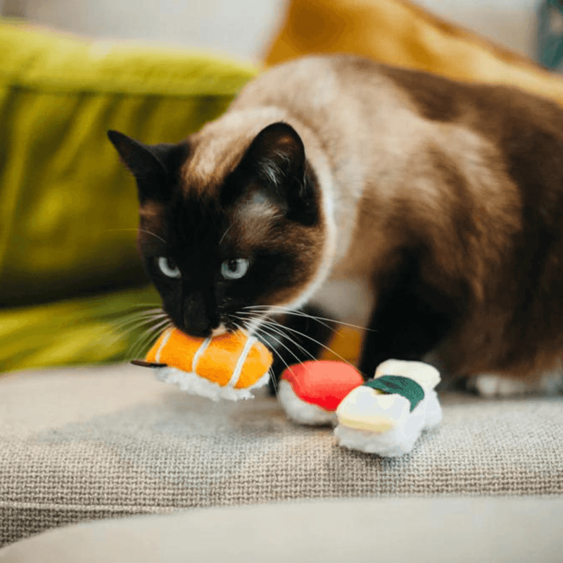 Catnip Cat Toy - Feline Frenzy - Cat Toy Food Collection - Sassy Sushi - 3 pk - J & J Pet Club - P.L.A.Y.