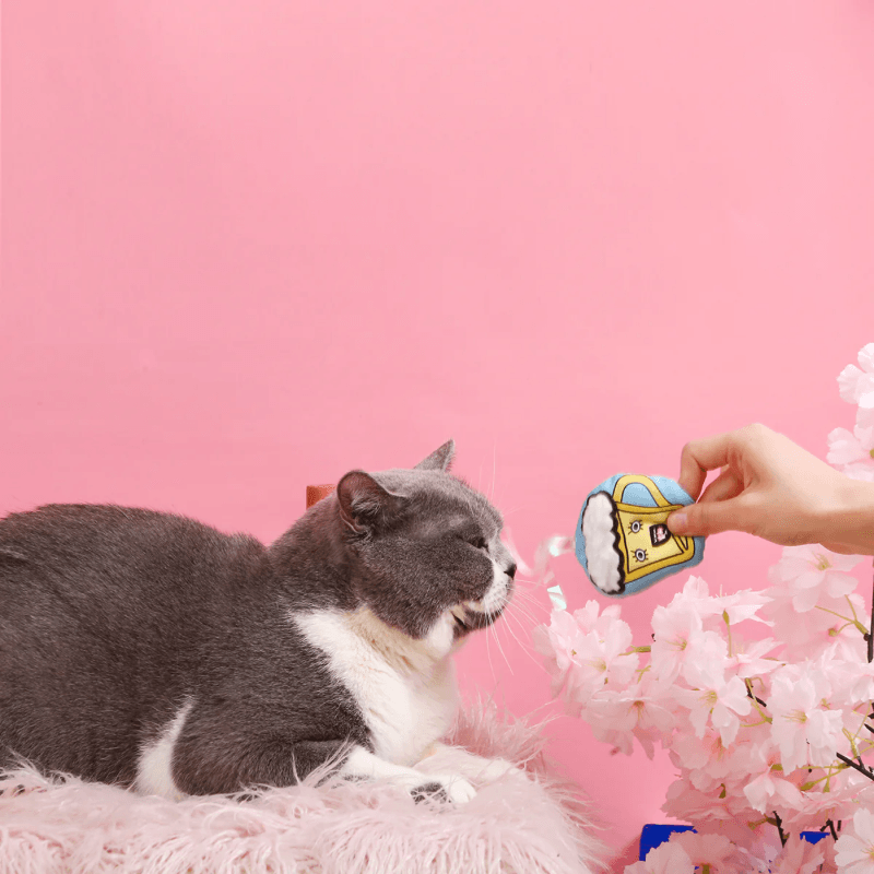 Catnip Cat Toy - Kitten Party - Beer - J & J Pet Club - HugSmart