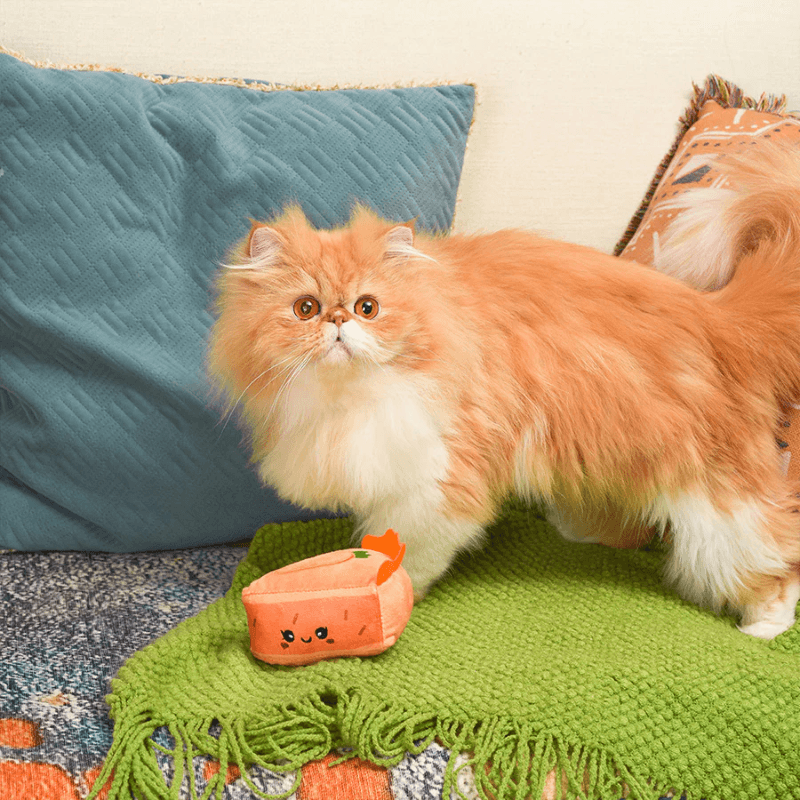 Catnip Cat Toy - Kitten Party - Carrot Cake - J & J Pet Club - HugSmart