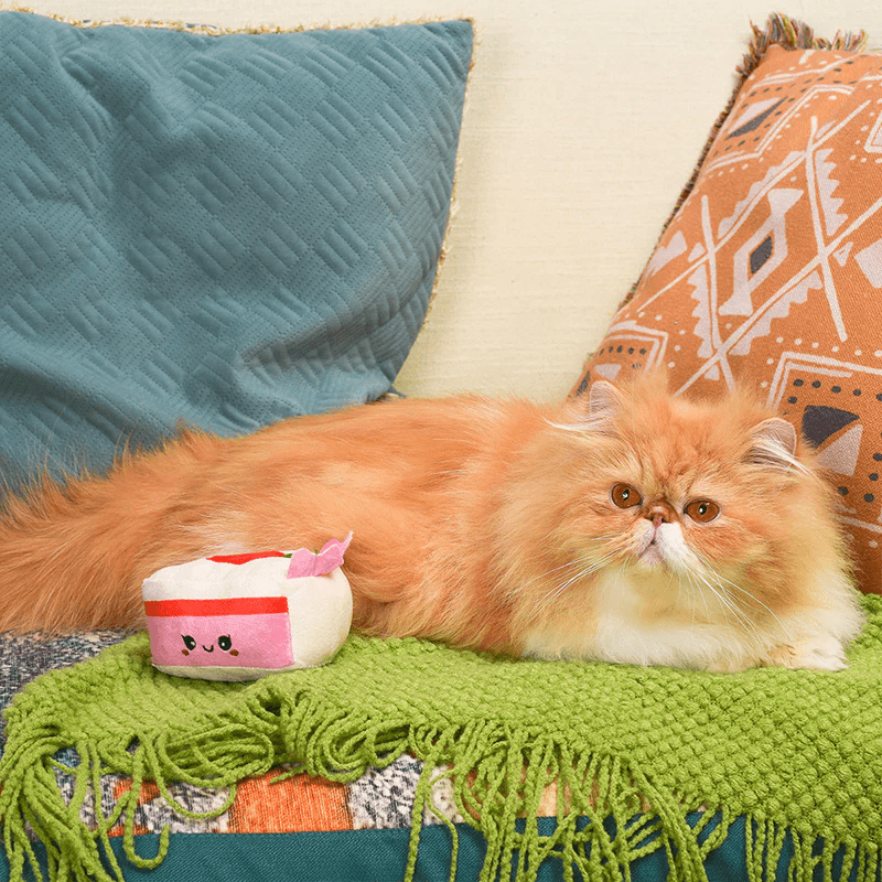 Catnip Cat Toy - Kitten Party - Strawberry Cake - J & J Pet Club - HugSmart
