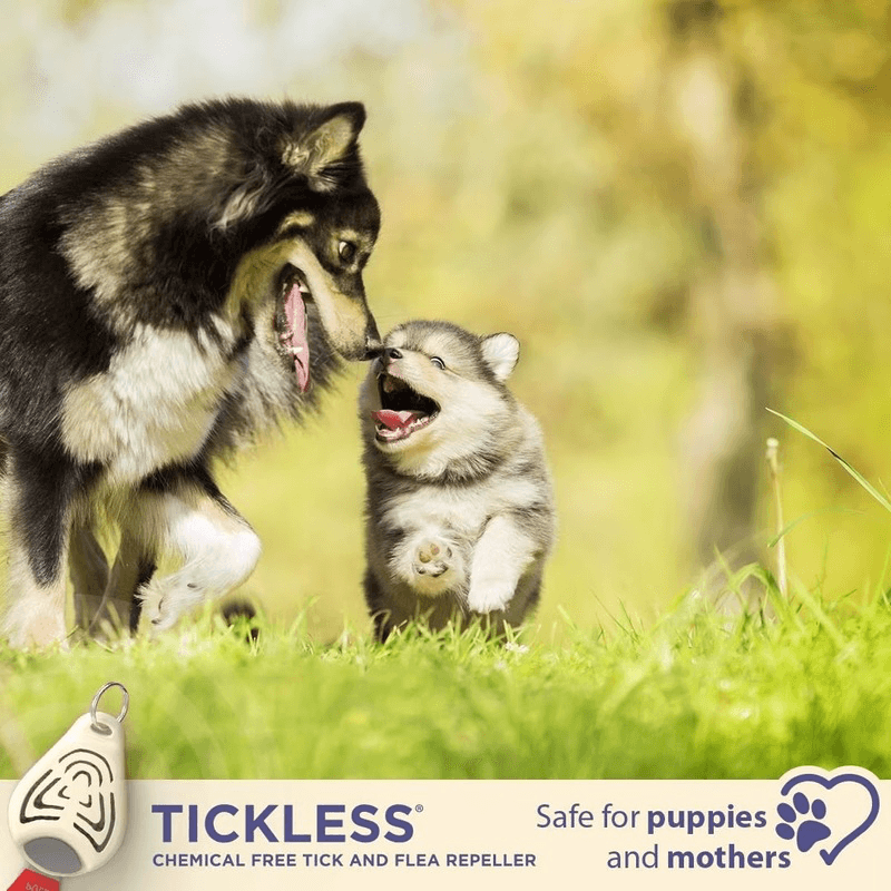 Chemical-Free, Ultrasonic Tick and Flea Repellent For Pets - J & J Pet Club - TICKLESS