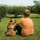 Chemical-Free, Ultrasonic Tick and Flea Repellent For Pets - J & J Pet Club - TICKLESS
