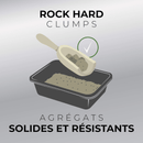 Clumping Cat Litter - CLOUD CONTROL Breathe Easy, Multi-Cat, 12.7 kg - J & J Pet Club - Arm & Hammer