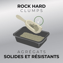 Clumping Cat Litter - CLUMP & SEAL Complete Odour Sealing, Multi-Cat - J & J Pet Club - Arm & Hammer