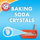 Clumping Cat Litter, MULTI-CAT Strength, Original - J & J Pet Club - Arm & Hammer