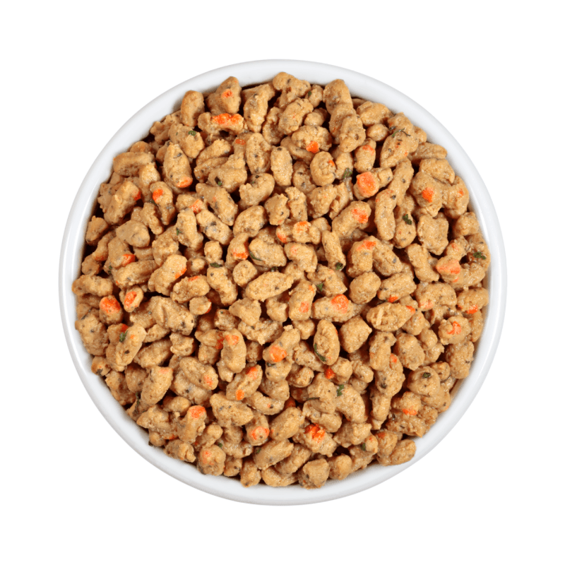 Freshpet vital cat food clearance