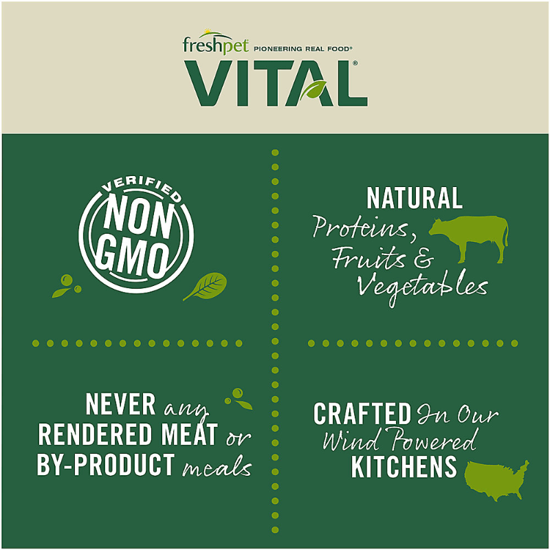 Freshpet vital cat food clearance