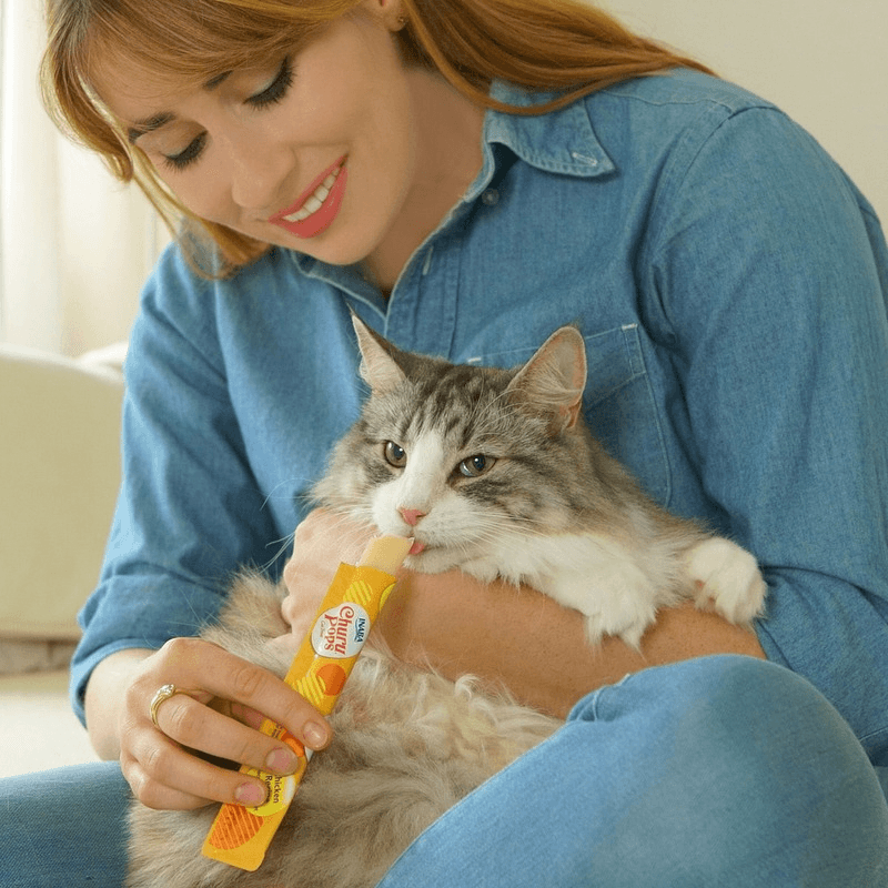 Creamy Cat Treat CHURU POPS Tuna with Chicken Recipe 0.5 oz