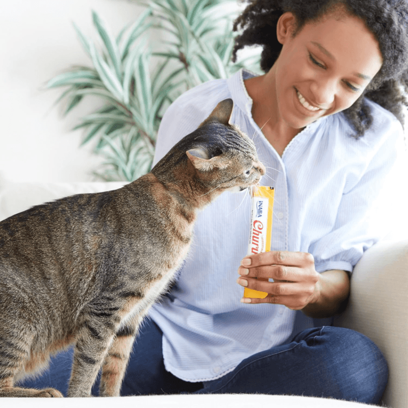 Creamy Cat Treat - CHURU - Tuna Recipe - 0.5 oz tube, 4 ct - J & J Pet Club - Inaba