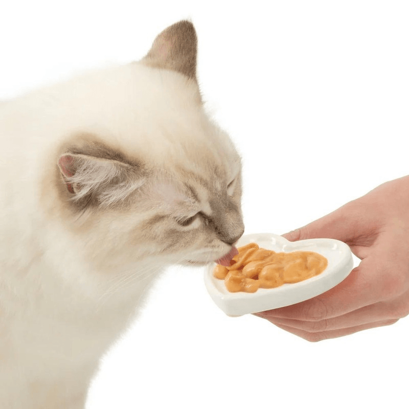 Creamy Cat Treat Feeding Dish, Ceramic Heart-Shaped Dish - J & J Pet Club - Catit