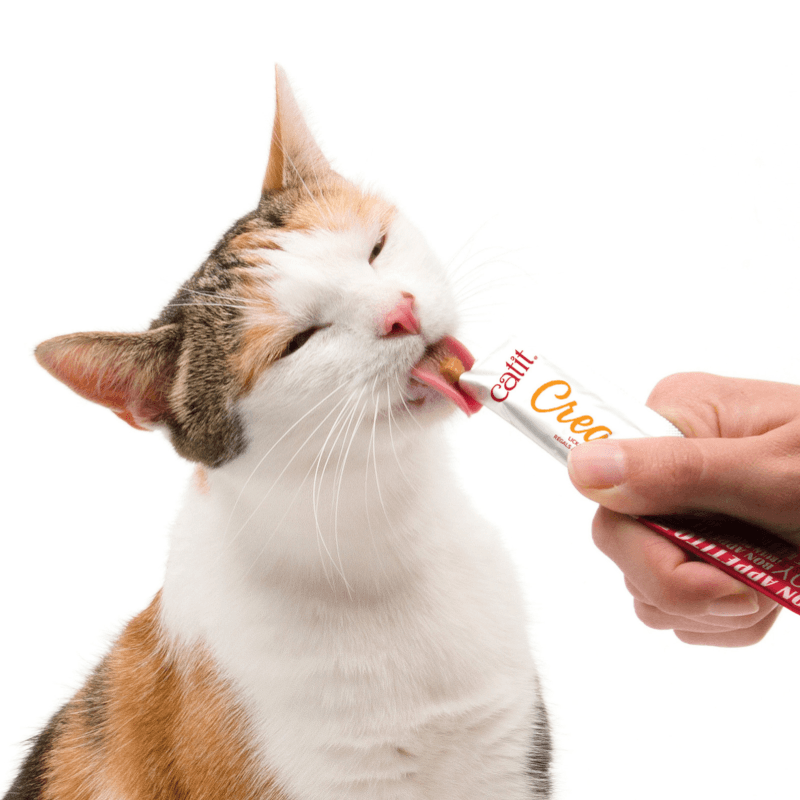 Creamy Lickable Cat Treat - Chicken & Liver Flavor - J & J Pet Club - Catit