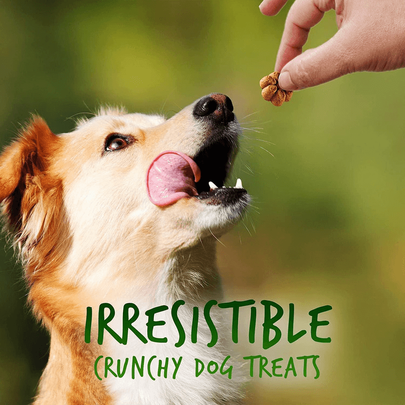 Crunchy Baked Dog Treat - Pumpkin & Apple Flavor - J & J Pet Club - Fruitables