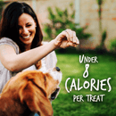 Crunchy Baked Dog Treat - Pumpkin & Banana Flavor - 12 oz - J & J Pet Club - Fruitables