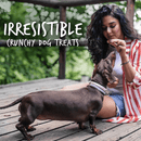 Crunchy Baked Dog Treat - Pumpkin & Cranberry Flavor - 7 oz - J & J Pet Club - Fruitables