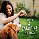 Crunchy Baked Dog Treat - Pumpkin & Cranberry Flavor - 7 oz - J & J Pet Club - Fruitables