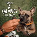 Crunchy Baked Dog Treat - Sweet Potato & Pecan Flavor - 7 oz - J & J Pet Club - Fruitables