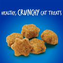 Crunchy Cat Treat - Chicken Flavor with Blueberry - 2.5 oz - J & J Pet Club - Fruitables