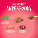 Crunchy Cat Treat - Salmon Flavor with Cranberry - 2.5 oz - J & J Pet Club - Fruitables