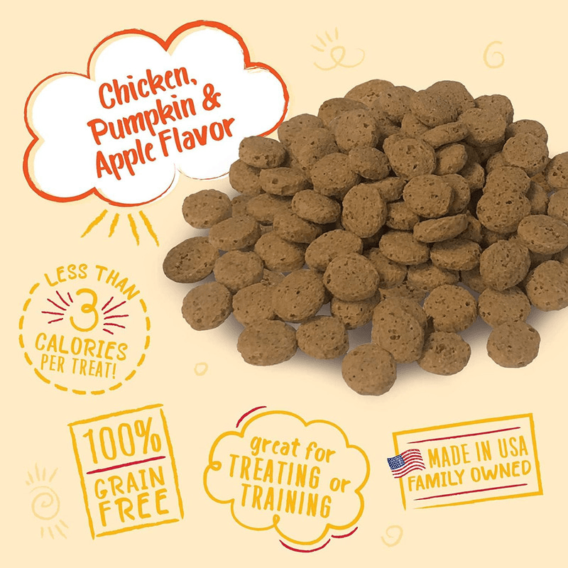 Crunchy Dog Treat - GRAIN FREE CRUNCH - Chicken, Pumpkin & Apple Flavor - 8 oz - J & J Pet Club - Charlee Bear