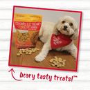 Crunchy Dog Treat - GRAIN FREE CRUNCH - Chicken, Pumpkin & Apple Flavor - 8 oz - J & J Pet Club - Charlee Bear