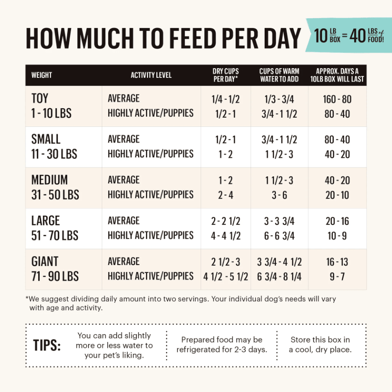 Dehydrated Dog Food - Grain Free Beef Recipe - J & J Pet Club - The Honest Kitchen