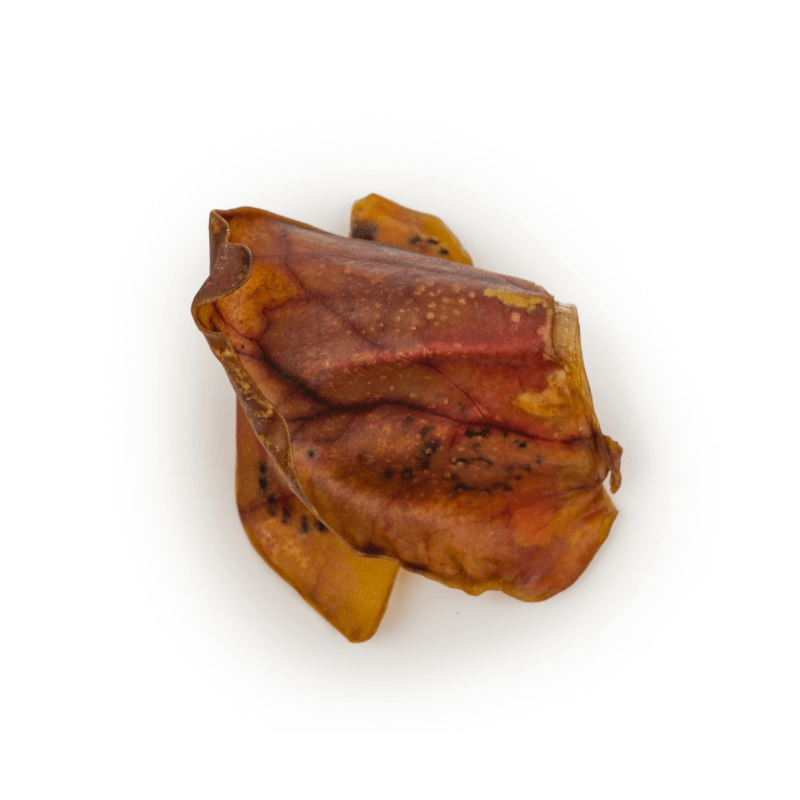 Dehydrated Dog Treat - Pig Ears - 1 pc (Bulk) - J & J Pet Club - Hero Dog Treats