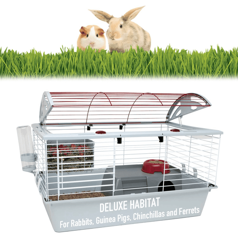 Deluxe Habitat For Small Animals - J & J Pet Club - Living World