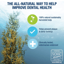 Dental Care - PlaqueOff Powder For Dogs & Cats - J & J Pet Club - ProDen PlaqueOff