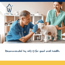 Dog & Cat Dental Care - PlaqueOff Soft Chews For Small & Medium Breed Dogs and Cats - J & J Pet Club - ProDen PlaqueOff