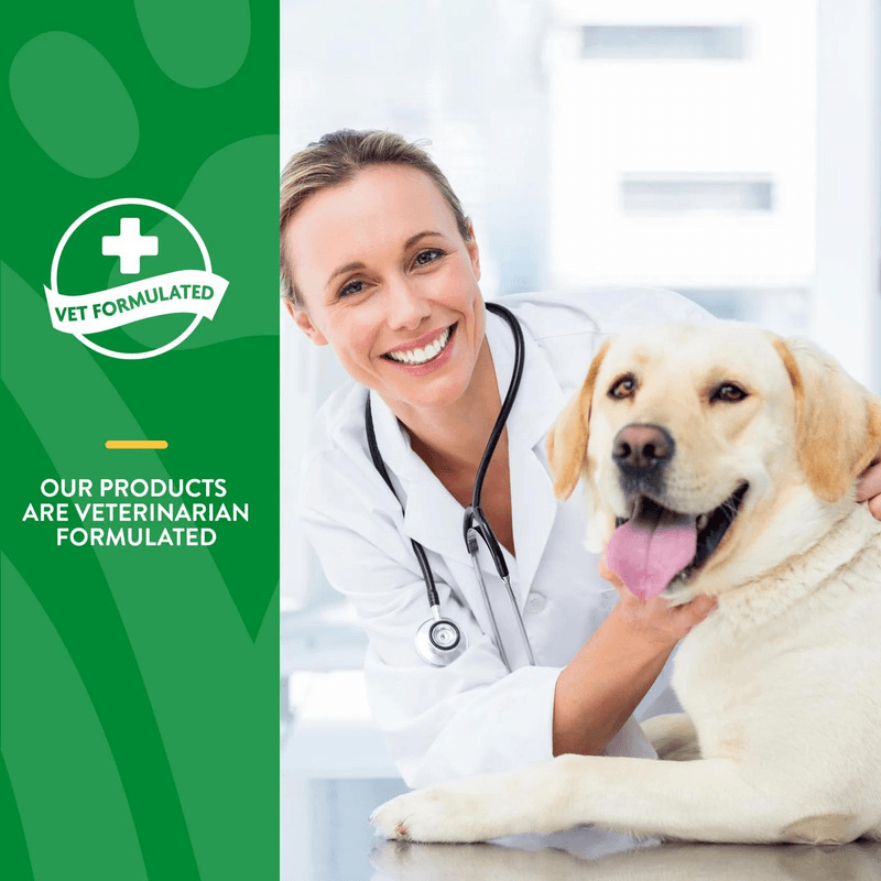 Dog & Cat Supplement - DAILY DIGESTIVE SUPPORT - Digestive Enzymes + Pre & Probiotic - Powder - J & J Pet Club - Naturvet