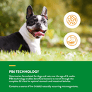 Dog & Cat Supplement - DIGESTIVE SUPPORT - Advanced Probiotics & Enzymes + Vet Strength PB6 Probiotic - Powder - J & J Pet Club - Naturvet