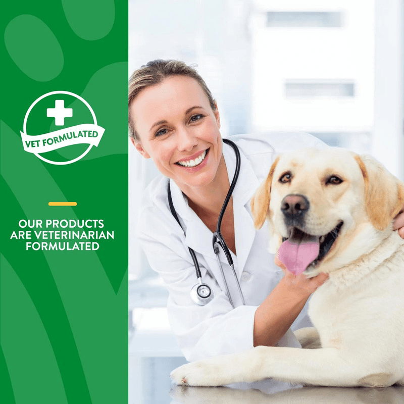 Dog & Cat Supplement - DIGESTIVE SUPPORT - Advanced Probiotics & Enzymes + Vet Strength PB6 Probiotic - Powder - J & J Pet Club - Naturvet