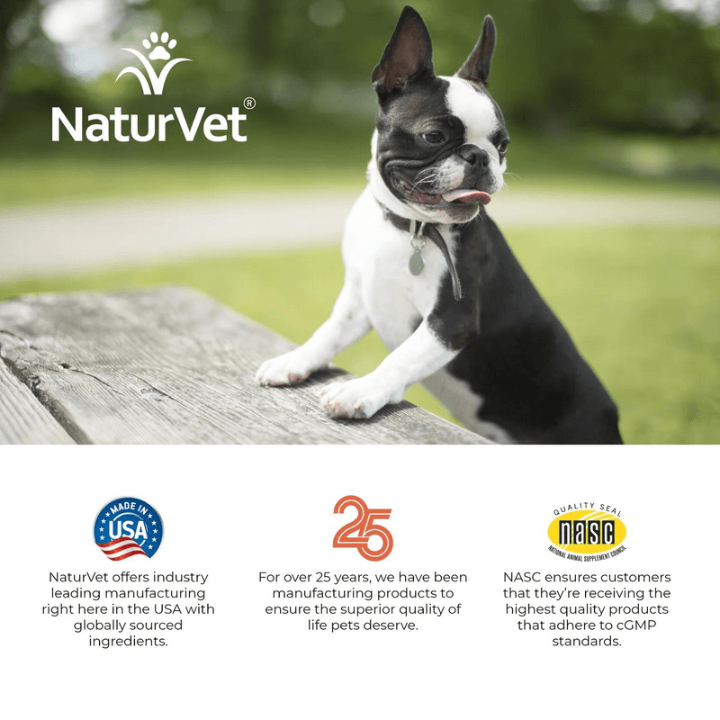 NATURVET ADVANCED PROBIOTICS ENZYMES POWDER 4 OZ