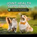 Dog & Cat Supplement - Green Lipped Mussel Powder - J & J Pet Club - Only One Treats