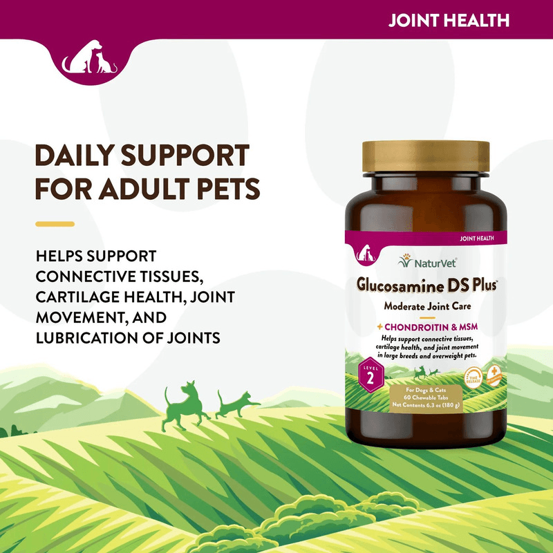 Dog & Cat Supplement - JOINT HEALTH - Glucosamine DS Plus - Level 2 Moderate + Chondroitin & MSM - 60 chewable tabs - J & J Pet Club - Naturvet