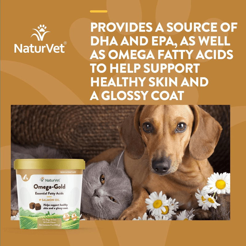 Dog & Cat Supplement - SKIN & COAT CARE, Omega-Gold Essential Fatty Aids + Salmon Oil - 90 soft chews - J & J Pet Club - Naturvet